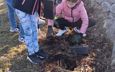 Učenici PŠ Vinež učili o sadnji šparuga