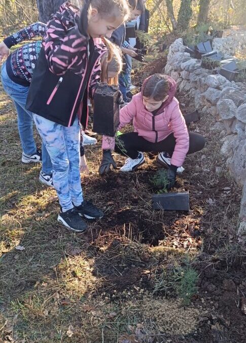 Učenici PŠ Vinež učili o sadnji šparuga