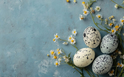 Proljetni odmor učenika