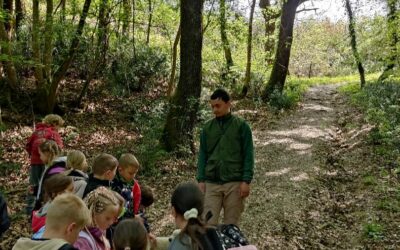 U sklopu nastave zavičajnosti učenici PŠ Vozilići učili o tartufima