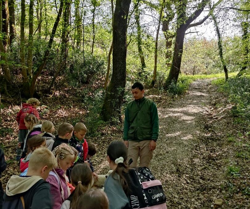 U sklopu nastave zavičajnosti učenici PŠ Vozilići učili o tartufima