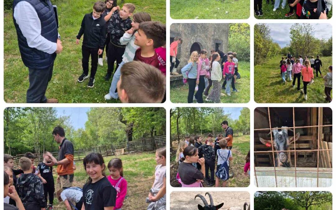 Učenici 3. razreda u projektu Terra fameja