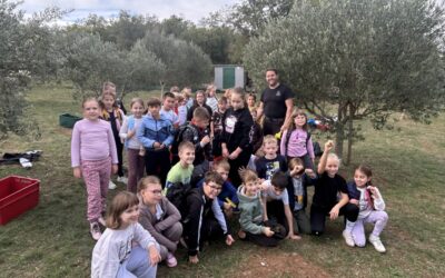 Jesenski doživljaj u masliniku i na ranču s konjima